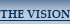 vision